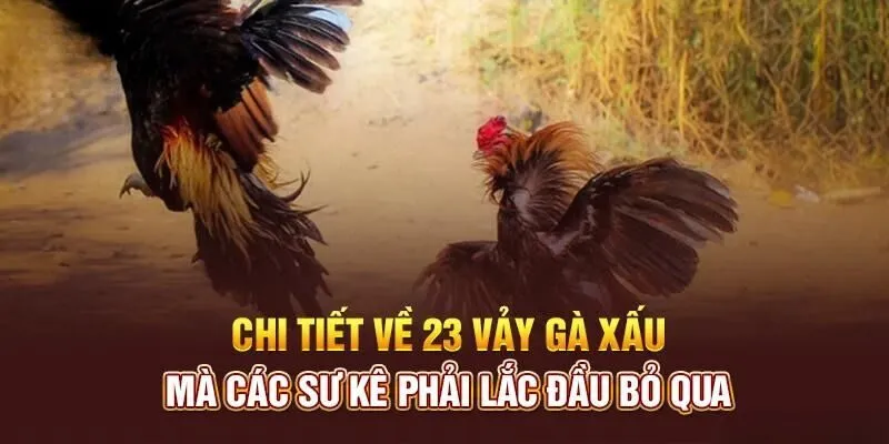 Vì Sao Không Nên Nuôi Những Con Gà Có Vảy Này?