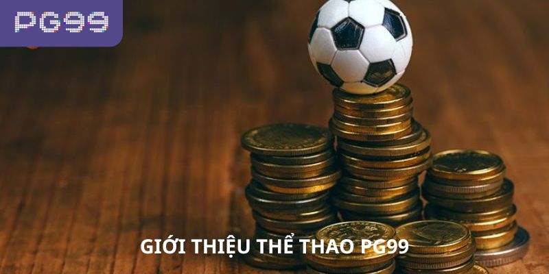 Giới thiệu tổng quan về sảnh thể thao PG99