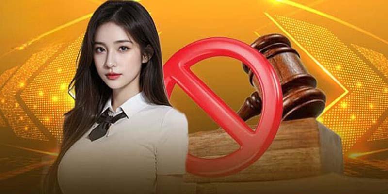 Những trường hợp áp dụng các điều khoản này