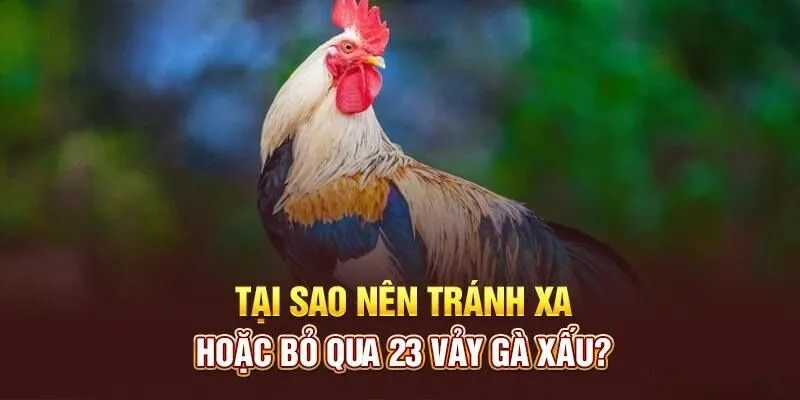 Top 10 Loại Vảy Gà Xấu Sư Kê Nên Biết Và Tránh Xa